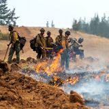 Ein Waldbrandteam schaut zu, nachdem es eine Feuerlinie gesetzt hat