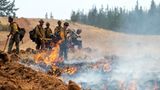 Ein Waldbrandteam schaut zu, nachdem es eine Feuerlinie gesetzt hat