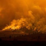 Das Sugar Fire wütet in Doyle im US-Bundesstaat Kalifornien