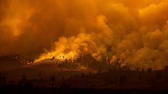 Das Sugar Fire wütet in Doyle im US-Bundesstaat Kalifornien