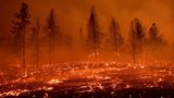 Glut weht über ein Feld, während das Sugar Fire brennt