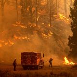 Feuerwehrleute bekämpfen das Sugar Fire, Teil des Beckwourth Complex Fire, im Plumas National Forest