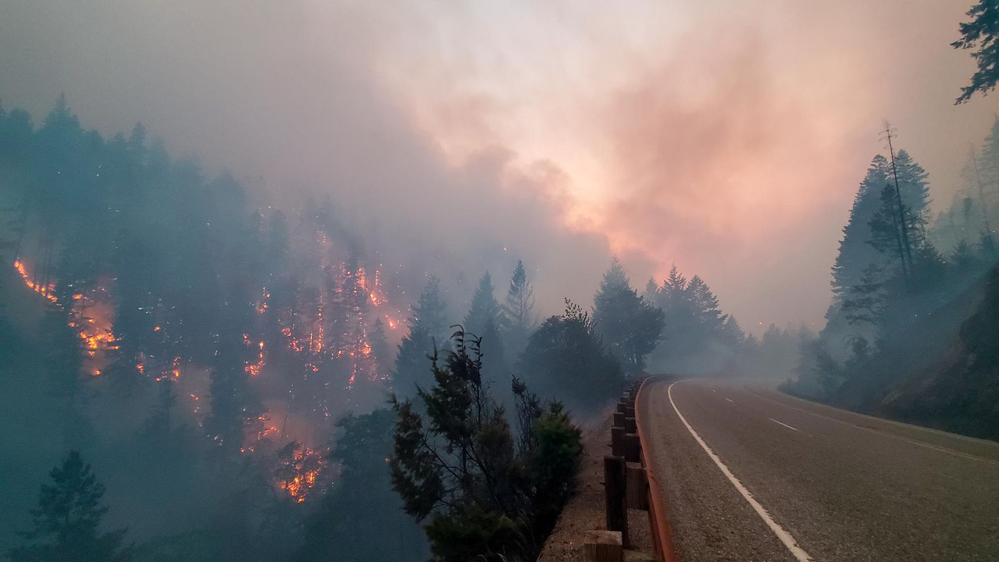 Entlang des Highways Ein Feuer brennt entlang der Oregon 138 in der Nähe von Steamboat