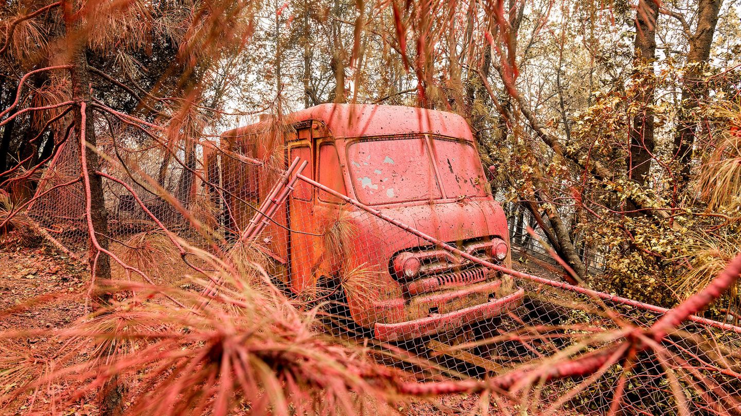 Feuerschutzmittel umhüllt ein Fahrzeug