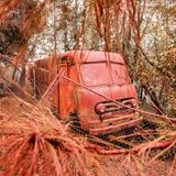 Feuerschutzmittel umhüllt ein Fahrzeug