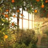 Inklusive Wintergarten.