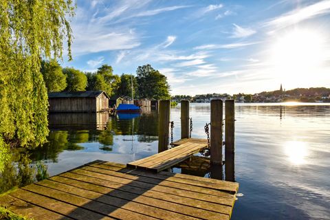 Zerkarien in Badeseen in Mecklenburg-Vorpommern.