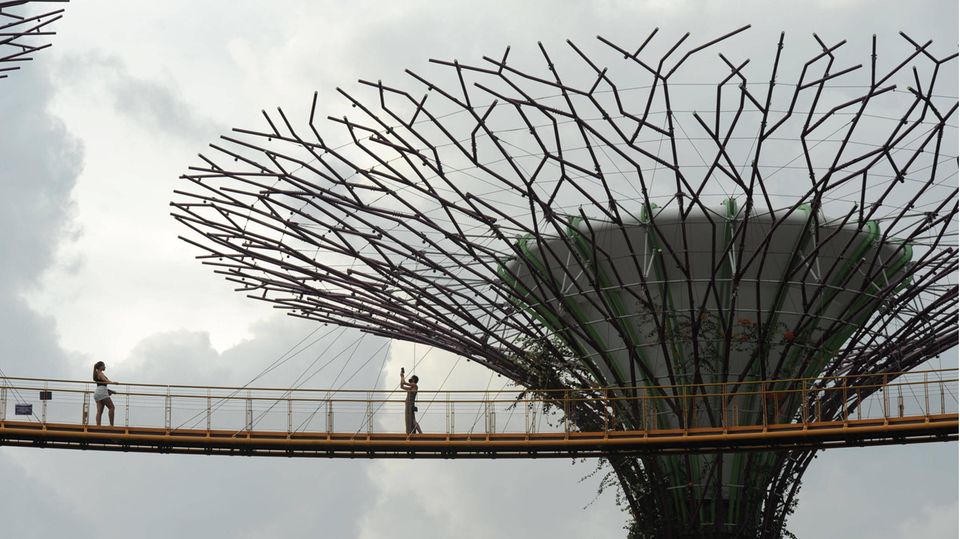 Supertrees Singapur