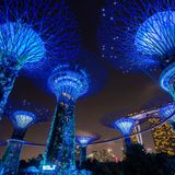 Supertrees Singapur