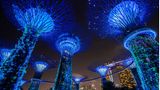 Supertrees Singapur