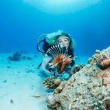 Die Schöne und das Biest - Pazifische Rotfeuerfische sind wahre Schönheiten und zugleich gefährlich, wenn man ihnen zu nahe kommt. Sie verteidigen aktiv ihr Revier gegen alle Eindringlinge.  Als Waffe setzen sie dabei ihre mit 13 Giftstacheln bewehrte Rückenflosse ein. Das Gift ist für Menschen nicht tödlich, jedoch extrem schmerzhaft bis hin zu Atemlähmungen.  Den Rotfeuerfisch findet man an den Küsten Südwest-Australiens, dem tropischen Norden und bis in den Süden von Neusüdwales.