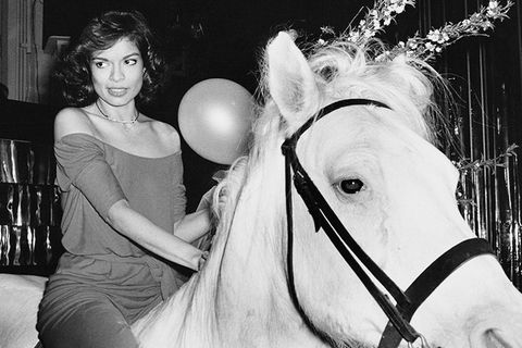 Studio 54