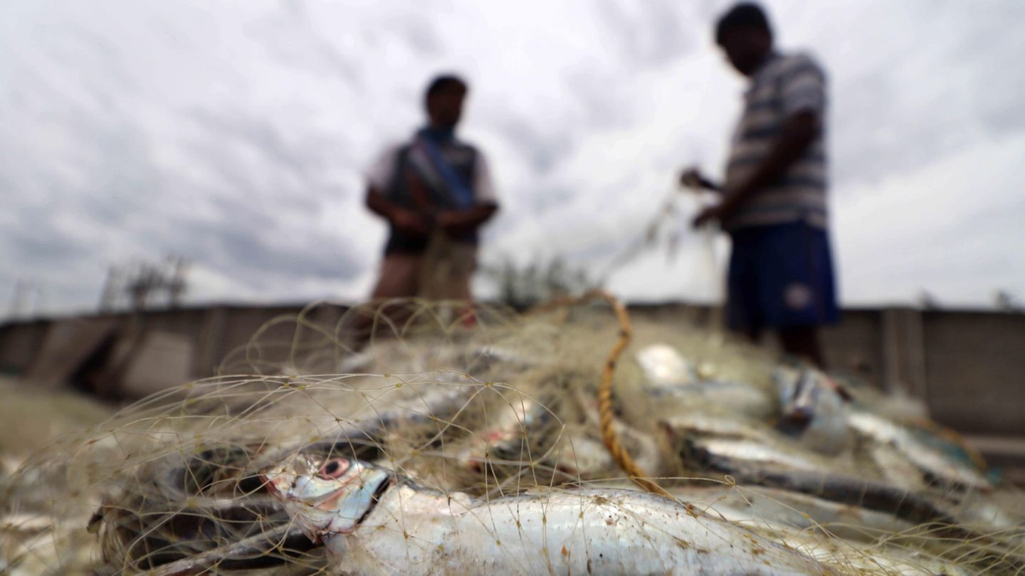 Fischerei in Indien