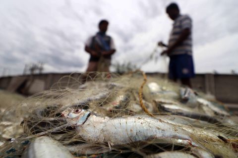 Fischerei in Indien