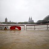 Überflutetes Rheinufer