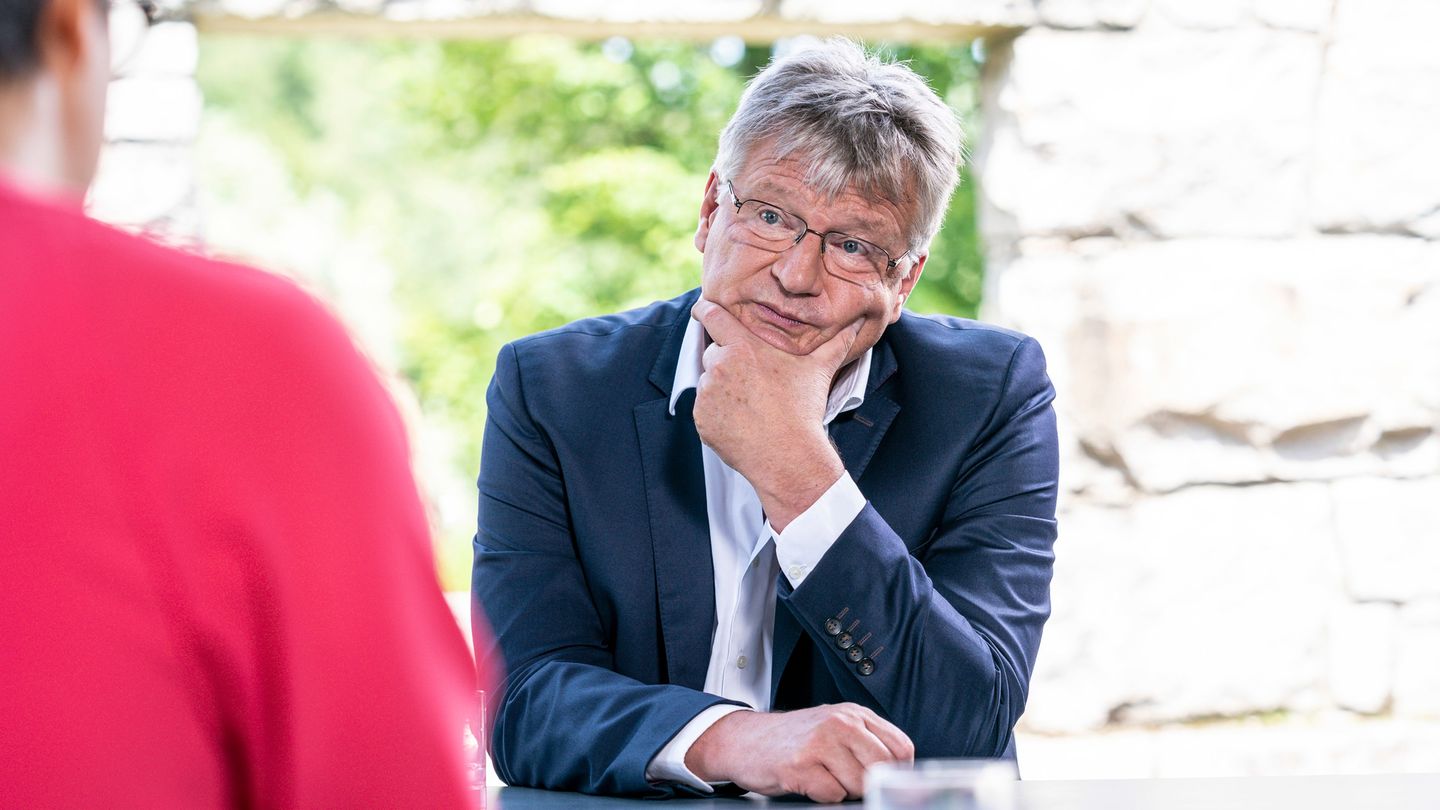 AfD boss Meuthen distances himself from his own candidates