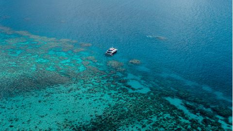 Great Barrier Reef in Queensland, Australien.