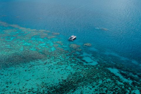 Great Barrier Reef in Queensland, Australien.