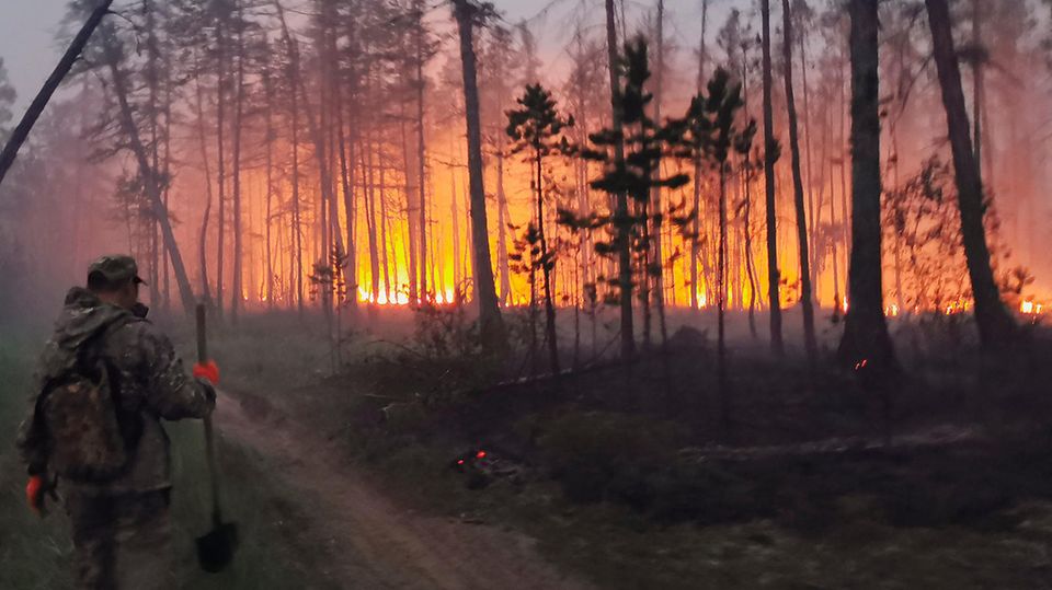 Hitzewelle in Russland: Riesige Taiga-Brände verdunkeln den Himmel