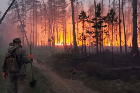 Hitzewelle in Russland: Riesige Taiga-Brände verdunkeln den Himmel