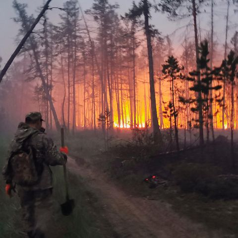 Hitzewelle in Russland: Riesige Taiga-Brände verdunkeln den Himmel