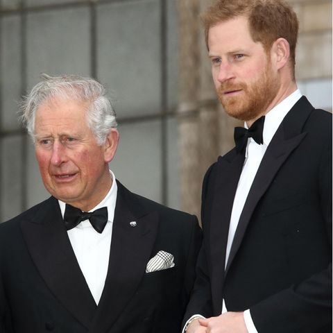 Prinz charles, Prinz harry