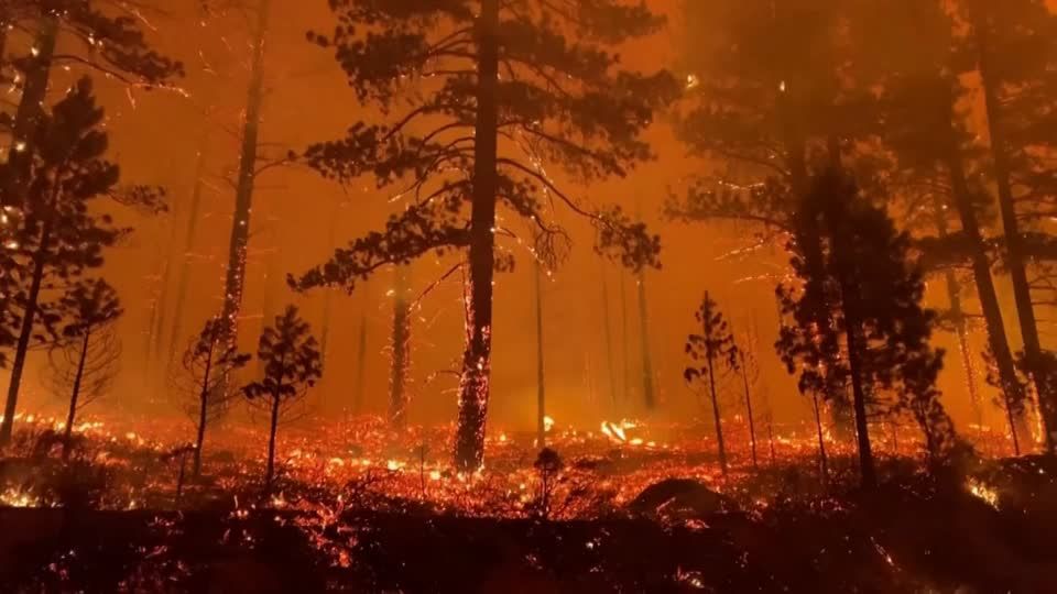 Inferno in Kalifornien: Riesiger Waldbrand durch "Gender Reveal Party" – Ehepaar droht Gefängnis Inferno in Kalifornien: Riesiger Waldbrand durch "Gender Reveal Party" – Ehepaar droht Gefängnis