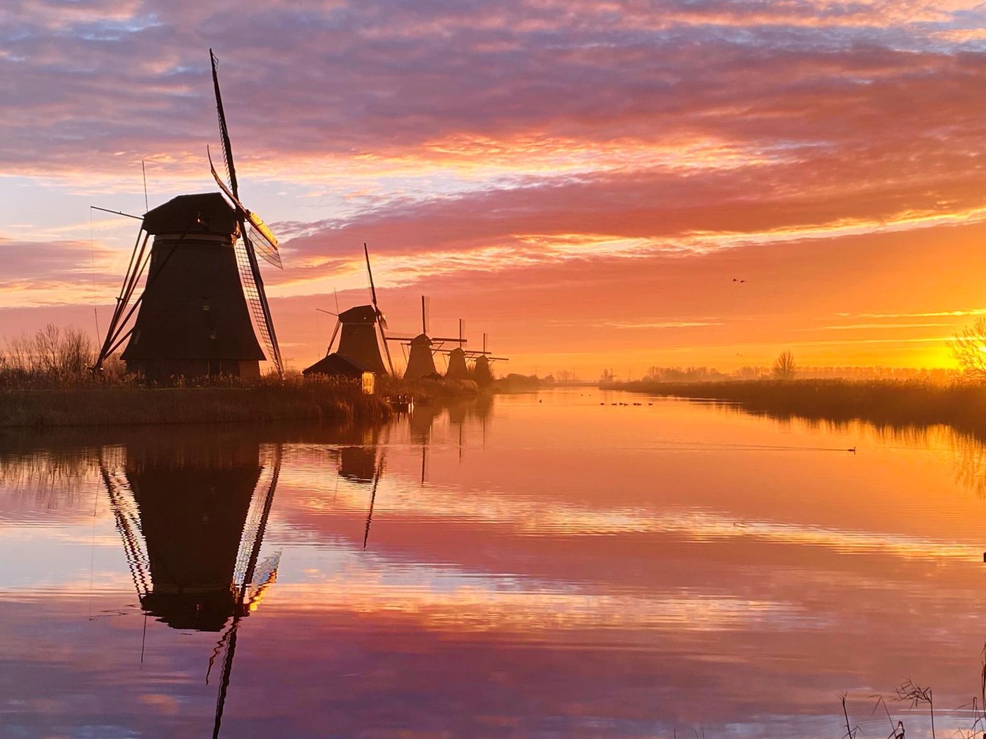 Sonnenuntergang, Platz 1: Claire Droppert  "A Dutch Morning"  Ort: Kinderdijk, Niederlande  iPhone 11 Pro Max