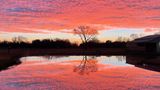 Sonnenuntergang, Platz 3: Danette Spriggs  "Sunrise Over Our Pond"  Ort: Angleton, Texas, USA  iPhone 12 Pro Max