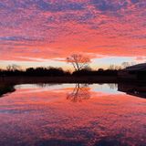 Sonnenuntergang, Platz 3: Danette Spriggs  "Sunrise Over Our Pond"  Ort: Angleton, Texas, USA  iPhone 12 Pro Max