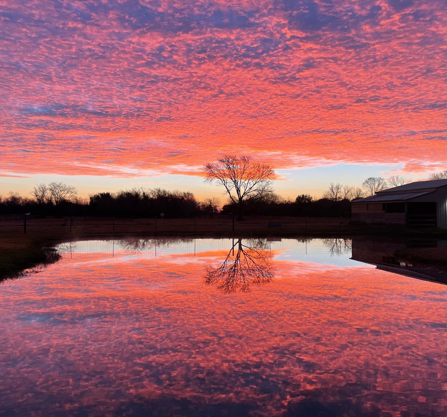 Sonnenuntergang, Platz 3: Danette Spriggs  "Sunrise Over Our Pond"  Ort: Angleton, Texas, USA  iPhone 12 Pro Max