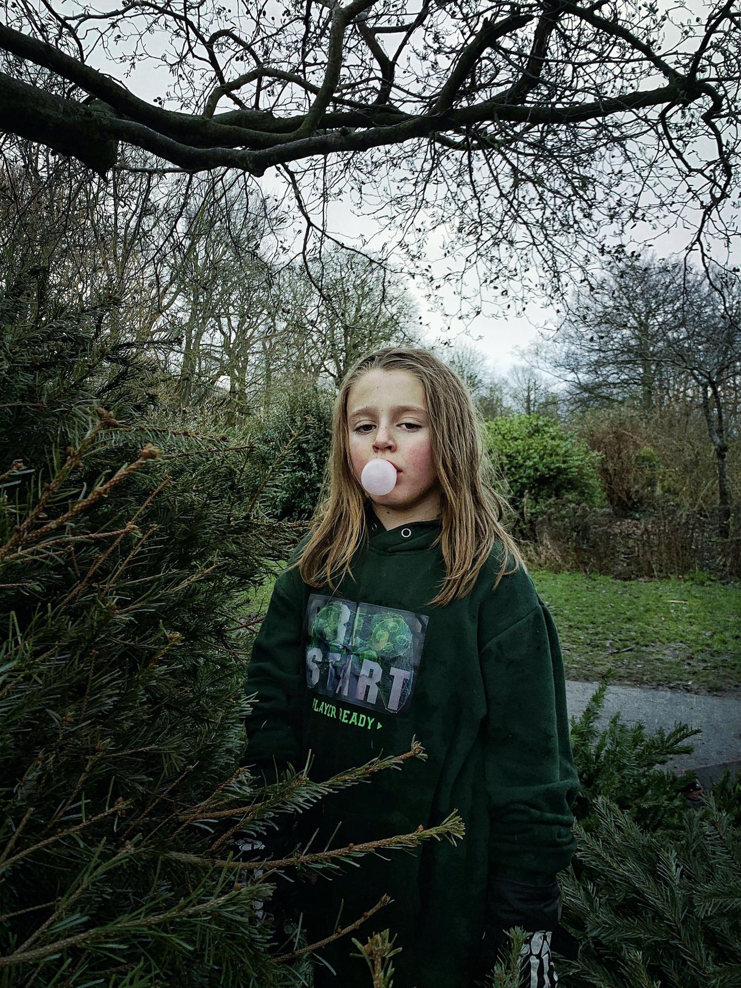 Porträt, Platz 2: Juliet Cope  "The Christmas Trees"  Ort: Brighton & Hove, Vereinigtes Königreich  iPhone XS Max