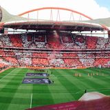 Panorama, Platz 3: Andre Skagervik  "Estádio da Luz"  Ort: Lisabon, Portugal  iPhone 6