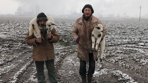 Erstes Bild der Fotostrecke  Fotograf des Jahres, Großer Preis: Istvan Kerekes  Das Bild "Transylvanian Shepherds" (Transilvanische Schäfer) des ungarischen Fotojournalisten Istvan Kerekes entstand in der seit Drakula berühmten Region Rumäniens. Es fängt einen zarten Moment im harten Arbeitsalltag ein. Zudem zeigt es, dass gute Fotografie nicht nur auf teuren Kameras möglich ist: Es wurde auf dem mittlerweile sechs Jahre alten iPhone 7 geschossen. 