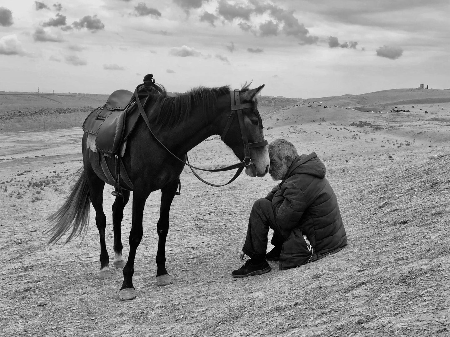 Fotograf des Jahres, Platz 1: Sharan Shetty  Das Bild "Bonding" (Verbindung) des indischen Fotografen Sharan Shetty zeigt die Nähe eines Reiters mit seinem Pferd in den Weiten Aserbaidschans. Geschossen wurde es mit einem iPhone X.