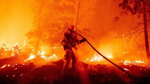 Feuerwehrmann kämpft gegen Waldbrand