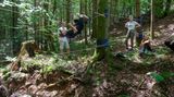 Abenteuer und Erholung in der freien Natur: Tim hangelt sich an einer Seilbrücke über einen Bach.