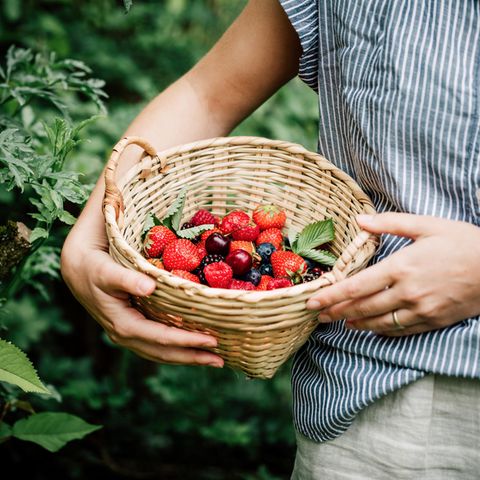 Frau sammelt Beeren im Garten