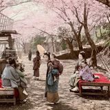 Japerinnen in Nogeyama