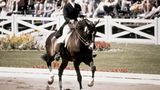 Bei der Frau auf dem Pferd handelt es sich um keine Geringere als Prinzessin Anne, die Tochter der britischen Königin. Als erstes Mitglied der Königsfamilie nahm sie 1976 an den Olympischen Spielen in Montreal teil. Fürs Treppchen reichte es aber nicht: Im Team der Vielseitigkeitsreiter wurde sie Neunte, in der Einzelwertung reichte es nur für Rang 24.
