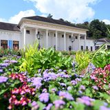 Schon die Römer nutzten die Thermalquellen in Baden-Baden. Ruhm erlangte die am Rande des Schwarzwalds gelegene Stadt vor allem seit dem 19. Jahrhundert: Die Spielbank zog Adligen, wohlhabende Bürger und Künstler aus ganz Europa an. Die brachten viel Geld in die Stadt, das in die einzigartige Bausubstanz floss - was man Baden-Baden noch heute ansieht. 