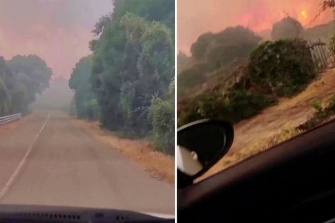 "Beispiellose Katastrophe": Augenzeugenvideos: Einheimische und Touristen fliehen vor Bränden auf Sardinien