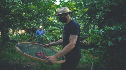 Die brasilianischen Region Alta Mogiana ist berühmt für ihre Kaffeeproduktion. In den letzten Jahren führen Wetterextreme immer wieder zu ertragsarmen Ernten.