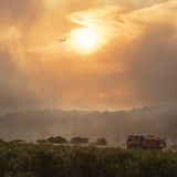 Waldbrand in Frankreich