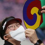 FS Tokio Bunter Fächer