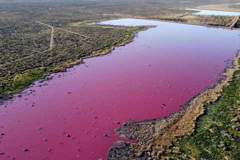 Pinkes Wasser in der Corfo-Lagune in Argentinien