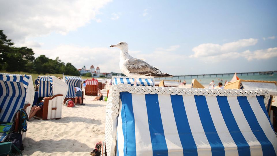 Urlaub an Nord- und Ostsee in Corona-Zeiten: Worauf sich Gäste