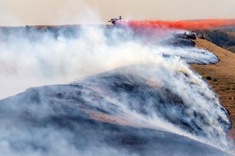 USA, Clarkston: Ein Flugzeug wirft Feuerschutzmittel auf das westliche Ende des Asotin Complex Fire ab