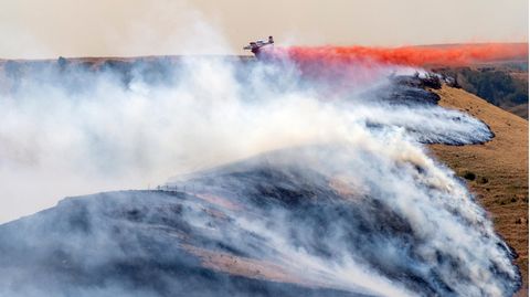 USA, Clarkston: Ein Flugzeug wirft Feuerschutzmittel auf das westliche Ende des Asotin Complex Fire ab