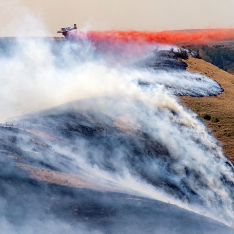 USA, Clarkston: Ein Flugzeug wirft Feuerschutzmittel auf das westliche Ende des Asotin Complex Fire ab